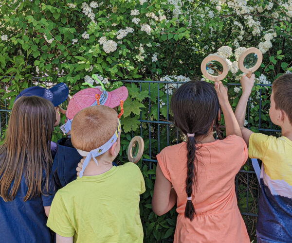 Kinder erkunden ihre Umgebung in der BEST-Sabel Grundschule Kaulsdorf, sie untersuchen mit Lupen Blüten und Blätter einer Hecke.